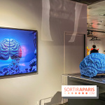 Expo The Art of The Brick Galerie Montparnasse