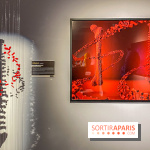 Expo The Art of The Brick Galerie Montparnasse - IMG 3056