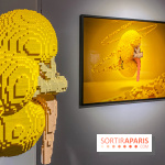 Expo The Art of The Brick Galerie Montparnasse - IMG 3063