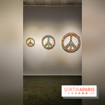 Expo The Art of The Brick Galerie Montparnasse - IMG 3077