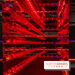 Expo The Art of The Brick Galerie Montparnasse - IMG 3101