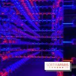 Expo The Art of The Brick Galerie Montparnasse