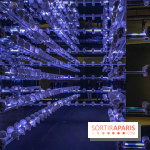 Expo The Art of The Brick Galerie Montparnasse - IMG 3106