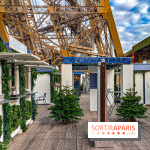 Marché de Noël de la tour Eiffel