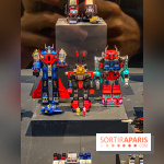 Exposition Jouets Robots à l'Espace Richaud de Versailles - IMG 3535