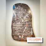 Demain est annulé : l'exposition qui interroge notre futur à la Fondation EDF - nos photos - IMG20240116101345