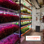 La Caverne, ferme urbaine bio à Paris, nos photos - 20240122 144136