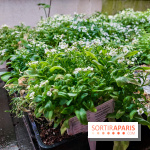 La Caverne, ferme urbaine bio à Paris, nos photos - 20240122 144904