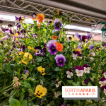 La Caverne, ferme urbaine bio à Paris, nos photos - 20240122 144934