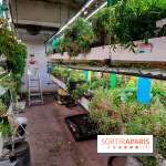 La Caverne, ferme urbaine bio à Paris, nos photos - 20240122 145108