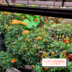 La Caverne, ferme urbaine bio à Paris, nos photos - 20240122 145116