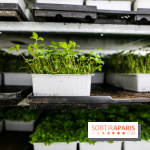 La Caverne, ferme urbaine bio à Paris, nos photos