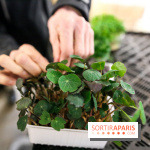 La Caverne, ferme urbaine bio à Paris, nos photos - IMG 2192