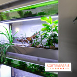 La Caverne, ferme urbaine bio à Paris, nos photos - IMG 2200