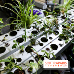 La Caverne, ferme urbaine bio à Paris, nos photos - IMG 2203