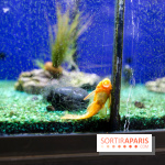 La Caverne, ferme urbaine bio à Paris, nos photos - IMG 2209