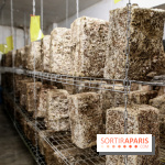 La Caverne, ferme urbaine bio à Paris, nos photos