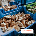 La Caverne, ferme urbaine bio à Paris, nos photos - IMG 2221