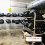 La Caverne, ferme urbaine bio à Paris, nos photos - IMG 2228