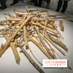 Suzanne Husky au Drawing Lab - IMG 4190