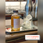 Disneyland Hotel à Disneyland Paris bar fleur de lys