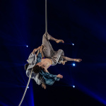 Festival Mondial du Cirque de Demain 2024, les photos  -  A7C2815