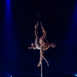 Festival Mondial du Cirque de Demain 2024, les photos