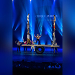 Festival Mondial du Cirque de Demain 2024, les photos