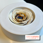 Vaisseau d'Adrien Cachot - Champignons