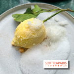 Halo de Victor Blanchet - Citron réaliste