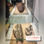 Dans la Seine : une expo de la Crypte archéologique dévoile les objets retrouvés dans la Seine