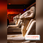 Toutankhamon, l'expérience immersive Pharaonique - les photos -  A7C4230