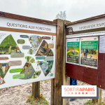 Le sentier de l'érosion à Fontainebleau - balade en forêt - IMG 6594