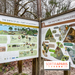 Le sentier de l'érosion à Fontainebleau - balade en forêt - IMG 6593
