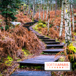 Le sentier de l'érosion à Fontainebleau - balade en forêt -  A7C4620 HDR