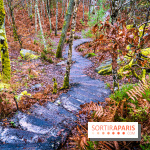 Le sentier de l'érosion à Fontainebleau - balade en forêt -  A7C4578 HDR