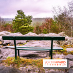 Le sentier de l'érosion à Fontainebleau - balade en forêt -  A7C4566