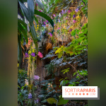 1001 Orchidées 2024, les photos de l'exposition florale dans les Grandes Serres du Muséum