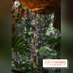 1001 Orchidées 2024, les photos de l'exposition florale dans les Grandes Serres du Muséum