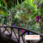 1001 Orchidées 2024, les photos de l'exposition florale dans les Grandes Serres du Muséum -  A7C5178 HDR