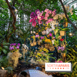 1001 Orchidées 2024, les photos de l'exposition florale dans les Grandes Serres du Muséum