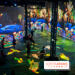 L'Egypte des Pharaons, de Khéops à Ramsès II : l'exposition immersive de l'Atelier des Lumières - IMG20240208095206