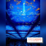 L'Egypte des Pharaons, de Khéops à Ramsès II : l'exposition immersive de l'Atelier des Lumières - IMG20240208101813