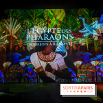 L'Egypte des Pharaons, de Khéops à Ramsès II : l'exposition immersive de l'Atelier des Lumières - IMG20240208103851