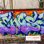 Colors Festival 2024, la nature reprend ses droits  -  A7C5773