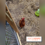 Demeures de Campagne : une évasion verte et cocooning à 35 minutes de Paris