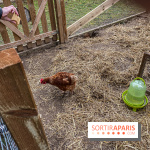 Demeures de Campagne : une évasion verte et cocooning à 35 minutes de Paris  - IMG 4369