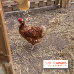 Demeures de Campagne : une évasion verte et cocooning à 35 minutes de Paris  - IMG 4371