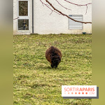 Demeures de Campagne : une évasion verte et cocooning à 35 minutes de Paris
