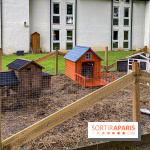 Demeures de Campagne Parc de Coudray : une évasion verte et cocooning à 35 minutes de Paris  - IMG 8276